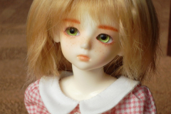 Faceup - Custom House Uri