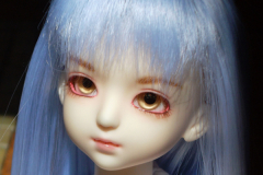 Faceup - Custom House Icarus